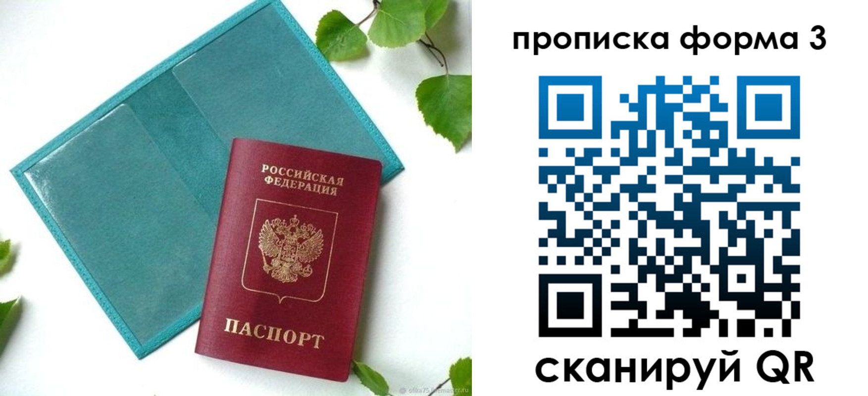 прописка ребенка в Александровске-Сахалинском